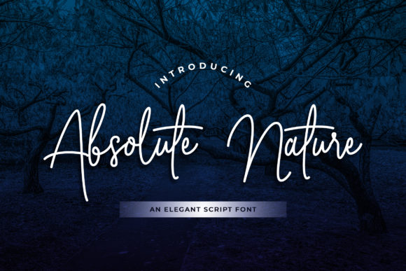 Absolute Nature: A Handwritten Font for a Professional Brand