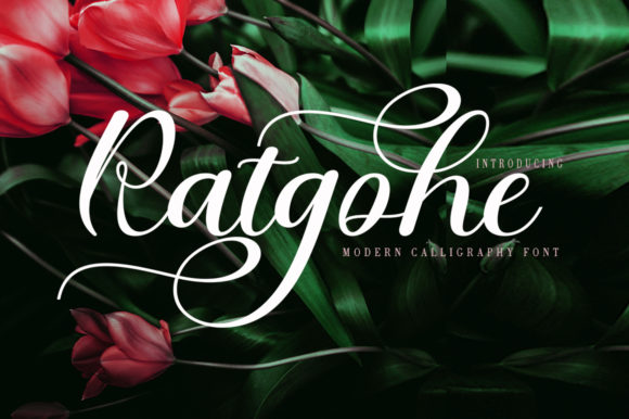Ratgohe: A Script Amp with Personality and Purpose