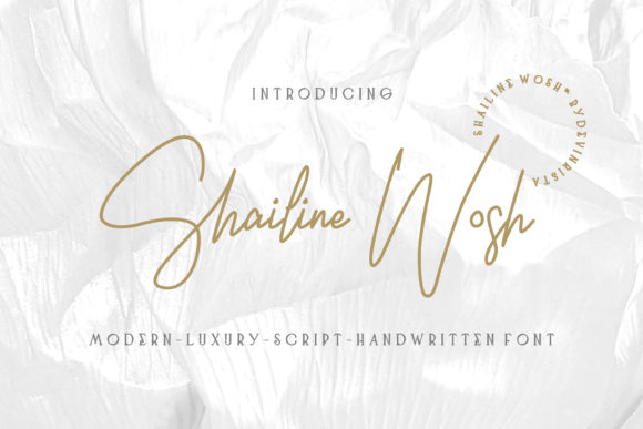 Shailine Wosh Font: A Marketer’s Secret Weapon for Stronger Visual Campaigns